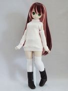 MDD/45/DDP५Сȥ/ȥͥåʥѥƥԥܡ