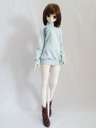 DDS/DD/ޡȥɡ롡ȥͥåԡʿ忧