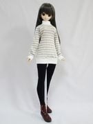 DDS/DD/DDdy/SD/ޡȥɡ롡ȥͥåԡʥ졼ܡ