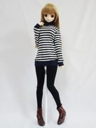 DDS/DD/DDdy/SD/ޡȥɡ롡ȥͥåԡʺܡ2023