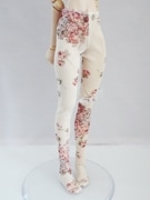 ��ñ�ʡ�DDS�������ġʥ��ʥ������