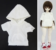 ñʡ40cm60cmե꡼ѡȥ졼ʡ/Ⱦµʤݤݤ