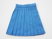 ñʡDDS/DD/AZO2ץ꡼ĥ/ߥ˾ʥ饷å֥롼