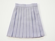 ñʡDDS/DD/AZO2ץ꡼ĥ/ߥ˾ƣ