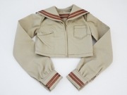 ��ñ��/���������ǡۥ��ӥ�50��Ĺµ�����֥饦��/������ͭ�ʥ١�����/��饤���