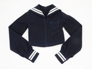 ��ñ��/���������ǡۥ��ӥ�50��Ĺµ�����֥饦����ǻ��/��饤���