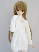 DDS/DD/DDdy/ޡȥɡ롡ɽȥͥåԡ