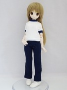 MDD�����󥰥��㡼���ѥ��������/Ĺ���ʺ���