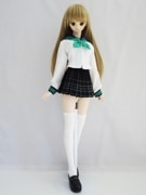 DDS/DD(M.L)顼Ĺµ/Х饤