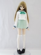 DDS/DD(M.L)顼Ĺµ/ҥ