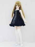 DDS(L)/DD(L)եȥܥ󥸥ѡȥåȡʺ