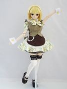 DDS(M)/DD(M)ǥᥤɡ塼å