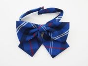 ��ñ�ʡ�40cm��60cm�ե꡼������������ĥ֥饦�����礭���ܥ�ͥ��������ĥ����å���