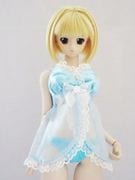 DDS(L)/DD(L)ȥ󥯥󥸥꡼åȡʿ忧