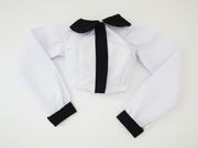 ��ñ�ʡ�DD(M.L)/���ޡ��ȥɡ���(S)���ߥ˥֥饦��/Ĺµ����/���ߡ�