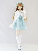 DDS/DD/DDdy/SD/ޡȥɡ롡ܥԡåȡʥߥȡ