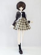 DDS/DD/DDdy/SD/ޡȥɡ롡ܥԡåȡʥ祳