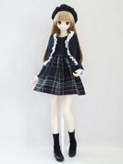 DDS/DD/DDdy/SD/ޡȥɡ롡ܥԡåȡʹ