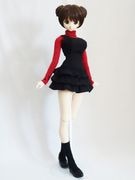 DDS(L)/DD(L)/DDdyСȥåȡʹ