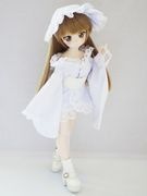 MDD���˥󥮥�ҥ�Υ���Ρ���)