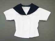 ��ñ�ʡ�DDS(S.M)/DD(S.M)��Ⱦµ�����顼�֥饦���ʺ���