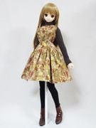 DDS/DD/DDdy/ޡȥɡ롡ե쥹ȥå