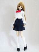 DDS/DD(M.L)顼/§ʹ//֥ܥ