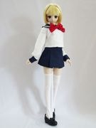 DDS(S.M)/DD(S.M)顼ʺ