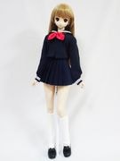 DDS/DD(M.L)顼ʺ饤/֥ܥ