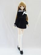 DDS/DD(M.L)饤󥻡顼/ߥ˾ʹ