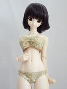 DDdy���Υ󥹥ȥ�åץ֥饻�åȡʥ⥫�ե���