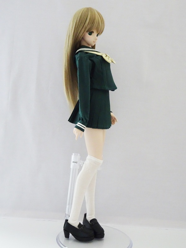 DDS/DD(M.L)�����������顼����Ĺµ/�С�