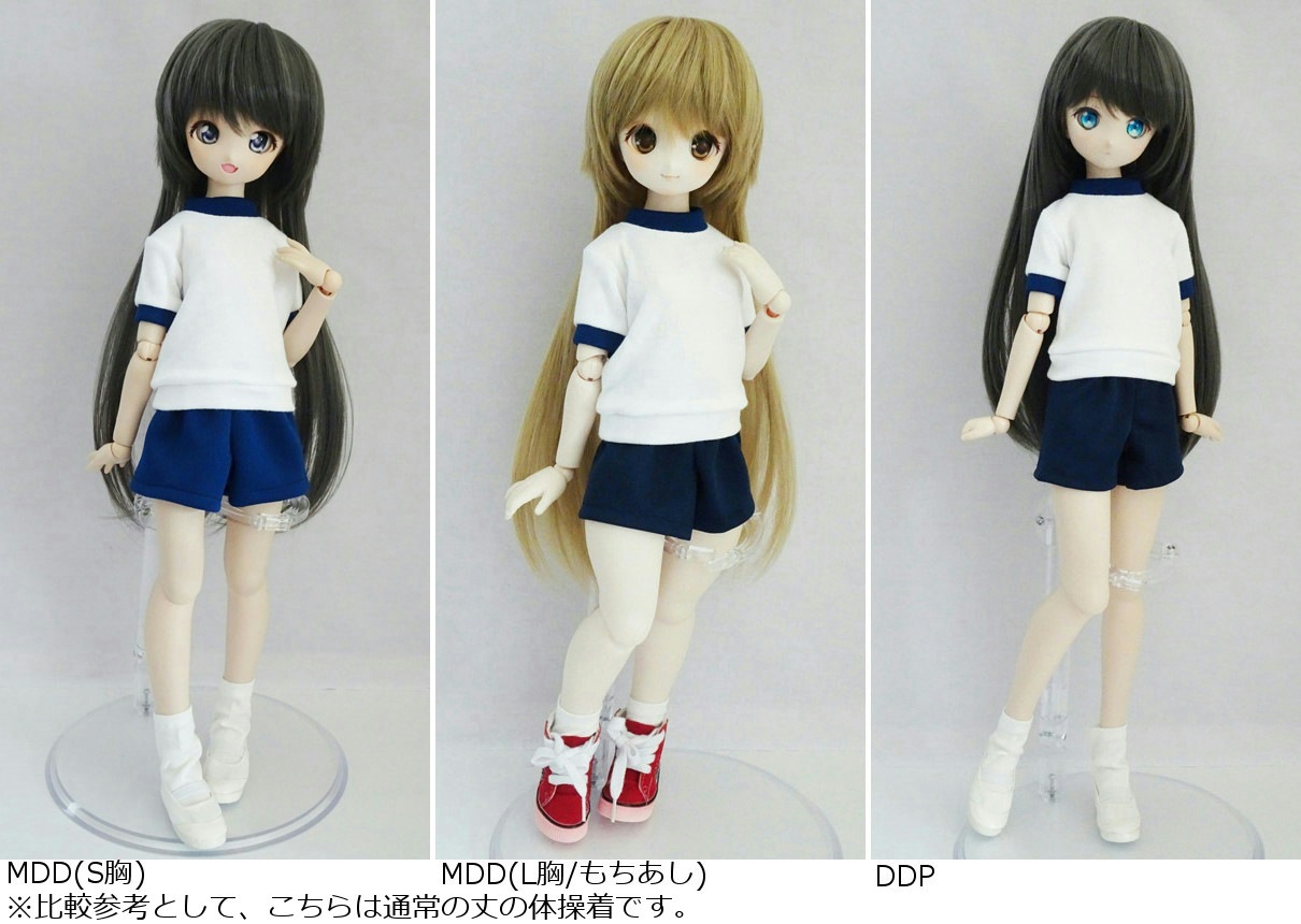 MDD/45/DDP/ӥ50硼ȥѥ/Ĺ֡