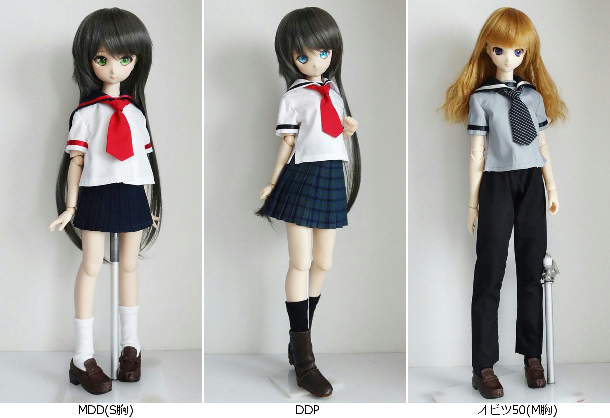 ñ/ǡMDD/DDPեꥨ顼֥饦/Ⱦµʥ졼//饤