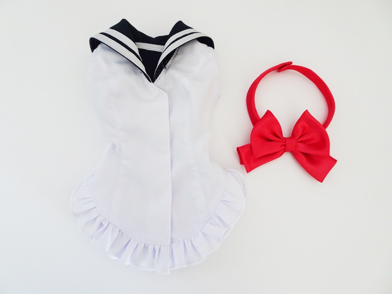 ñʡDDS/DD/ޡȥɡ롡Ρ꡼֥顼֥饦/ܥ