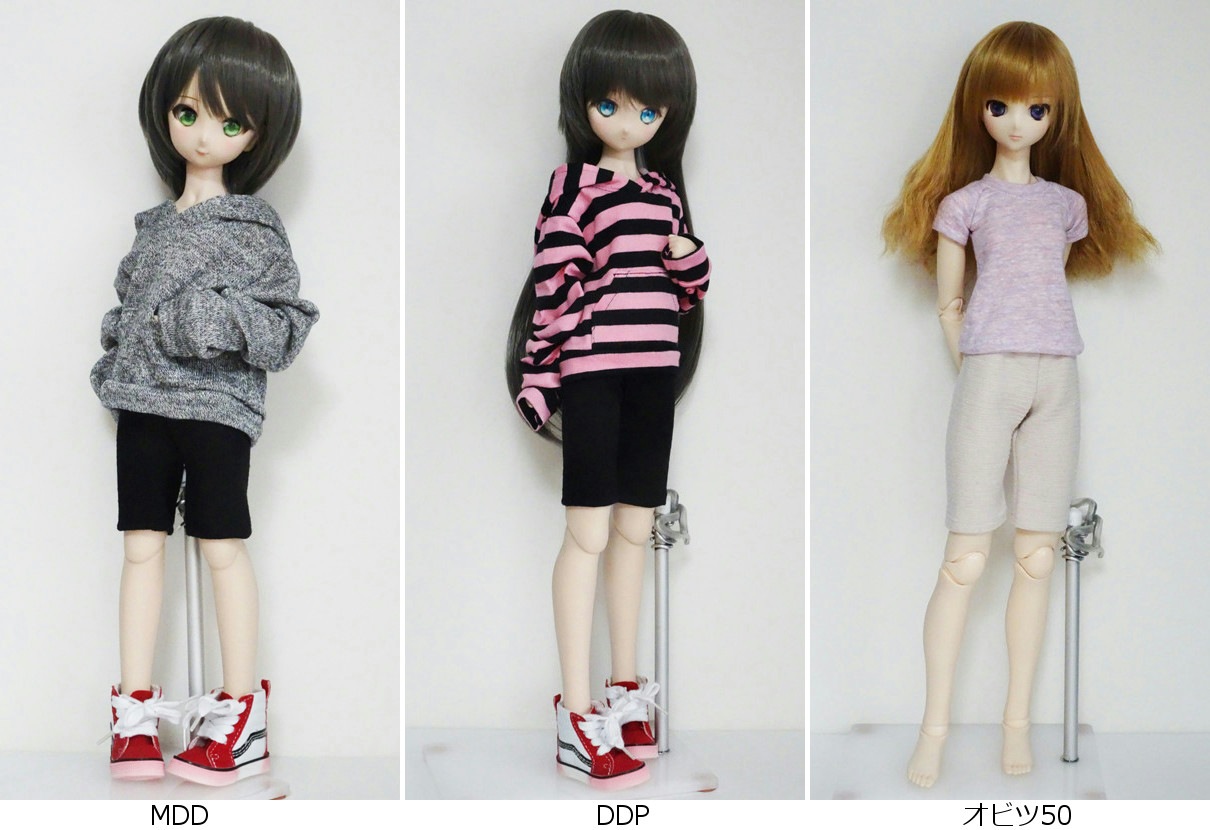 ��ñ�ʡ�40cm��50cm�ե꡼���������������åȥѥ��/�ϡ��աʹ���