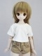 MDD/45/DDP/ӥ50ߥTġ硼ȥѥĥåȡ/