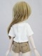 MDD/45/DDP/ӥ50ߥTġ硼ȥѥĥåȡ/