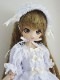 MDD/DDPMIMI-LolitablancȾµ