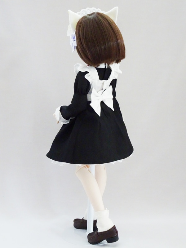 MDD(S)ˤ󤳥ץɥ쥹/Ĺµʹ