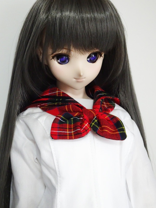 ñ/ǡ60cmե꡼顼ѥ֥å2021