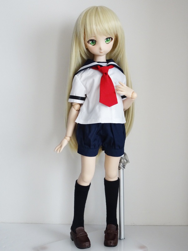 ñ/ǡMDD/DDPեꥨ顼֥饦/Ⱦµ//饤