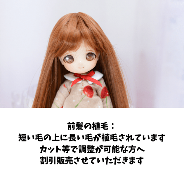 オリジナルウィッグ関連 | リトルポリッシュ