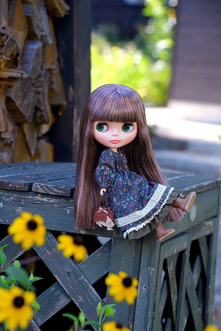 入荷即納／送料無料　ネオブライス『ヘッジホッグのヘーゼル』【2025年11月28日発売品】