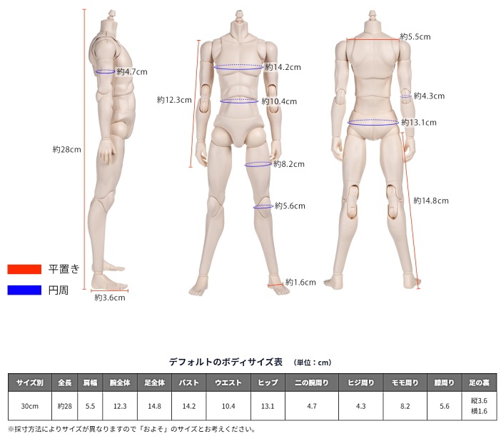 :【オビツ製作所】【OBITSU 30 BODY】30cmオビツボディ ナチュラル　（ オビツ30 ）  / 30BD-M01N