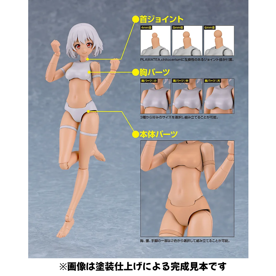 【グッドスマイルカンパニー】組み立て式プラモデル PLAMATEA ミューズボディ：いちか Cタイプ【2026年1月下旬発売】