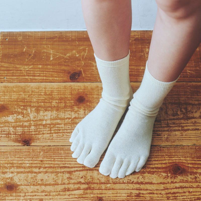 �饤�֥��åȥ󡦥��륯���ܻإ��å���(�����Ȥʤ�)