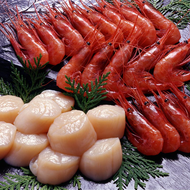 �ۤ��ƤȴŤ��ӵͤ��碌