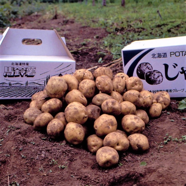 �̳�ƻ�����㤬���⥻�å�