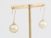 south sea gold pearl / K18YG pierce 【hook pierce】